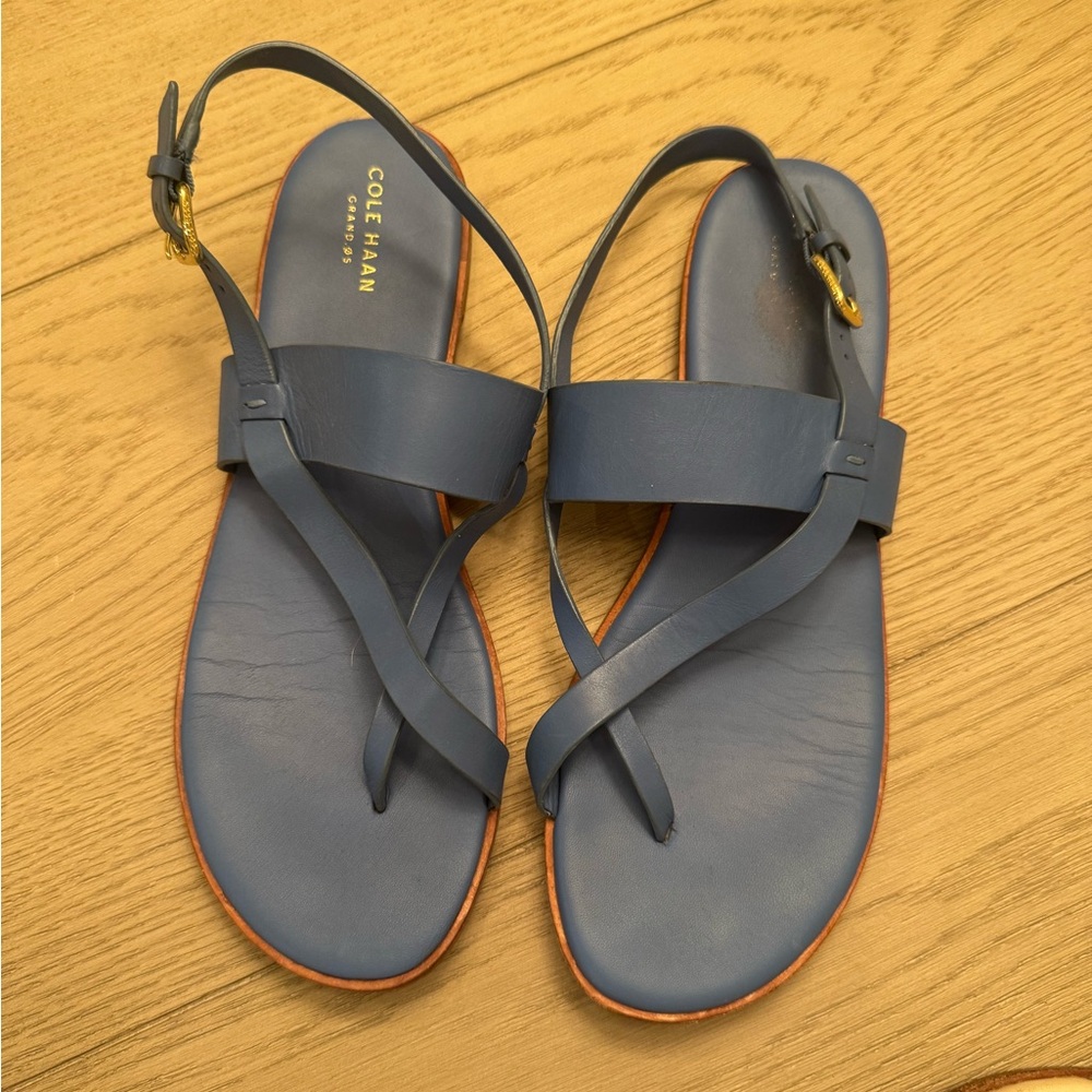 Cole Haan Women's Strappy Blue Sandals
